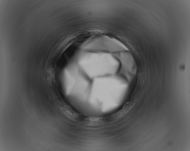 X0000089440093200707131915