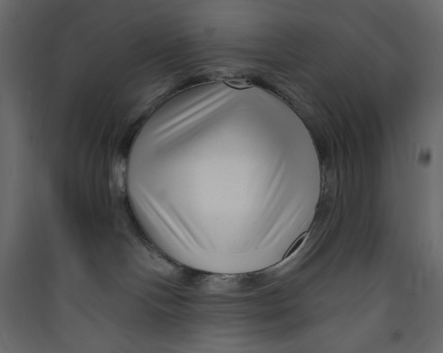 X0000089440094200707131915