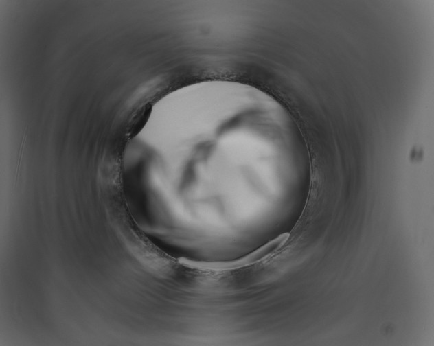 X0000089440096200707131915