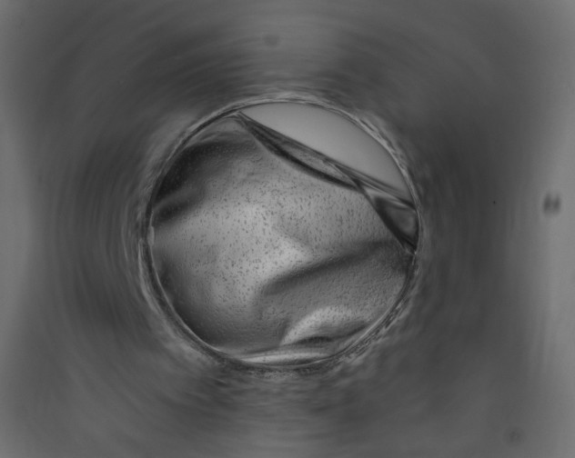 X0000089440097200707131914