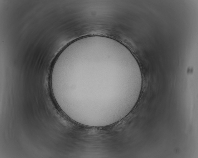 X0000089440098200707131914