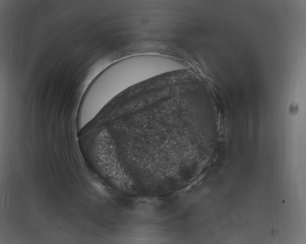 X0000089440099200707131914