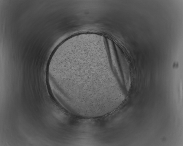X0000089440100200707131914