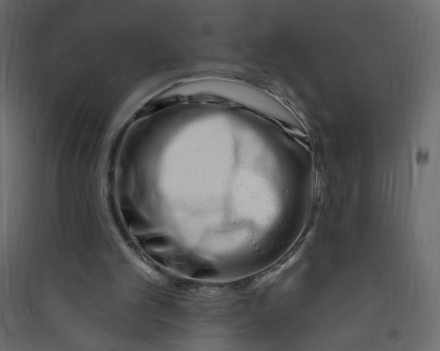 X0000089440101200707131914