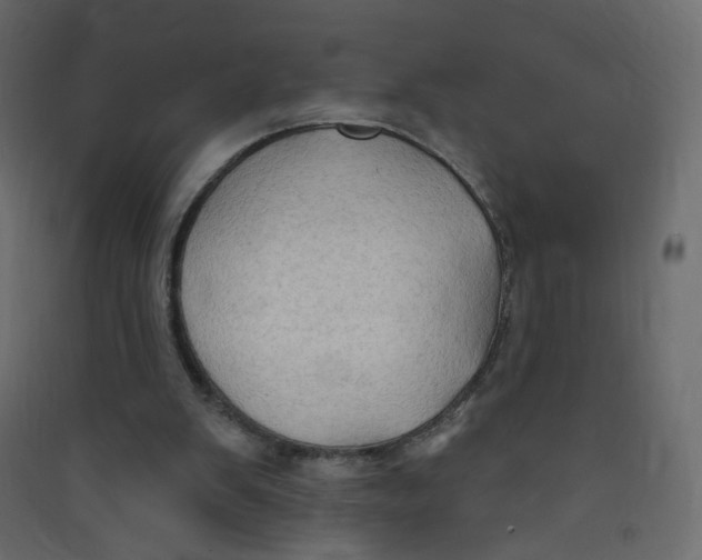 X0000089440103200707131914