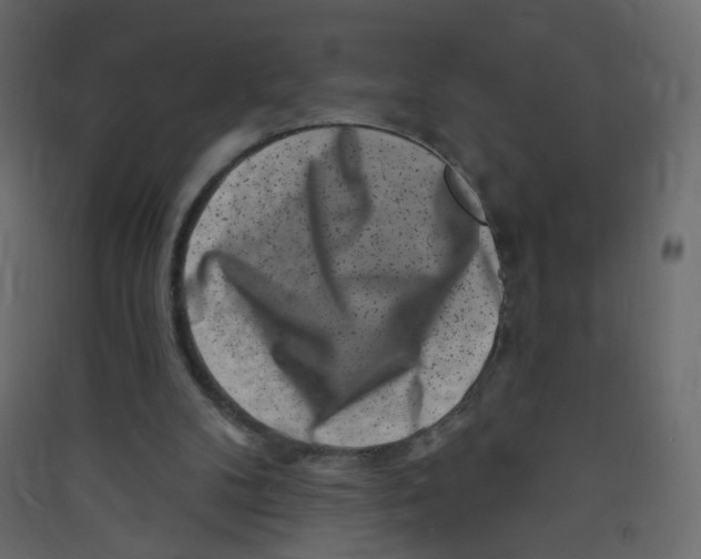 X0000089440104200707131914