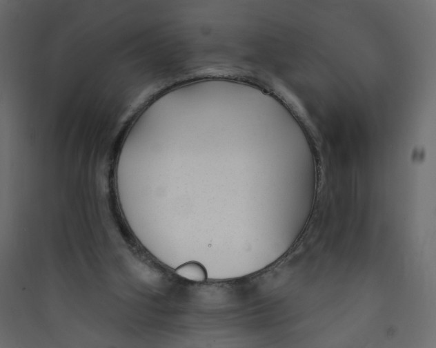 X0000089440106200707131914