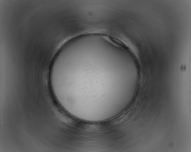 X0000089440107200707131914
