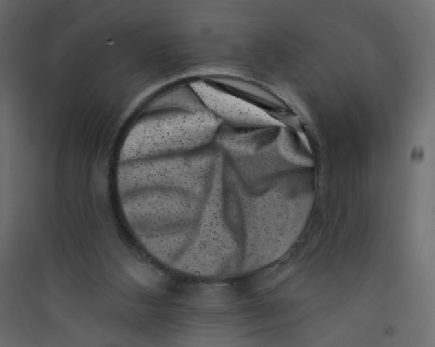X0000089440108200707131914