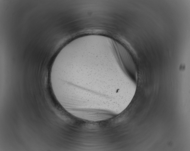 X0000089440110200707131914
