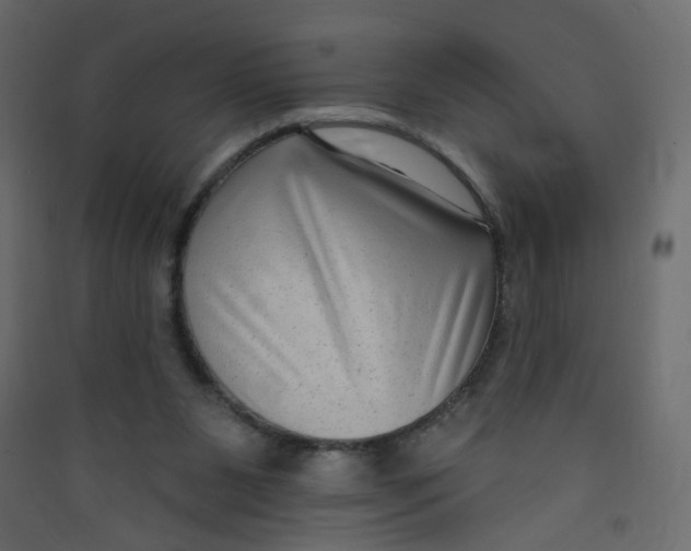 X0000089440111200707131914
