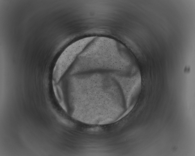 X0000089440112200707131914