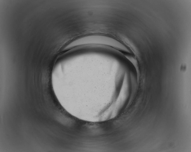 X0000089440113200707131914