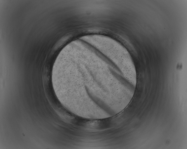 X0000089440116200707131914