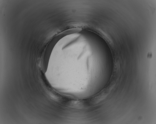 X0000089440117200707131914