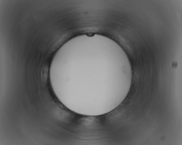 X0000089440118200707131914