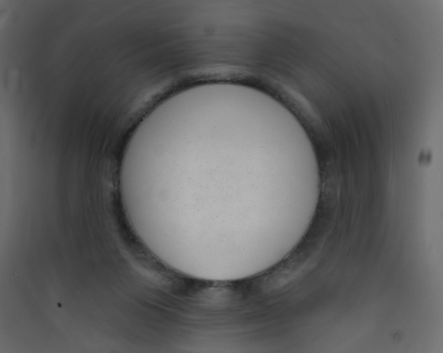X0000089440119200707131914