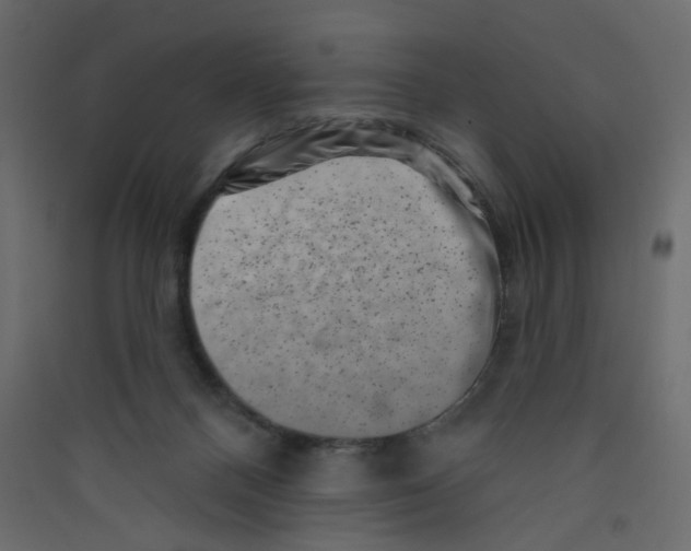 X0000089440120200707131914