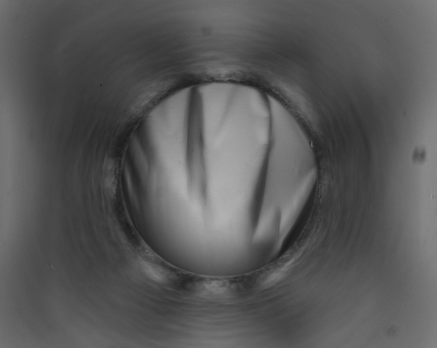 X0000089440121200707131914