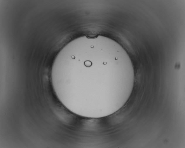 X0000089440122200707131914