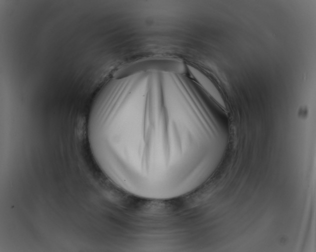X0000089440123200707131914