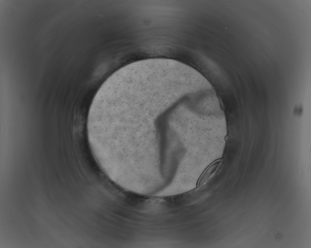 X0000089440124200707131914