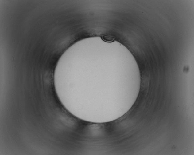 X0000089440126200707131914