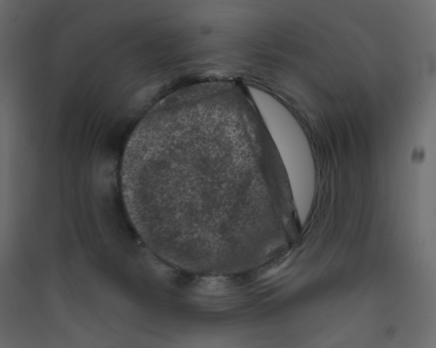 X0000089440127200707131914