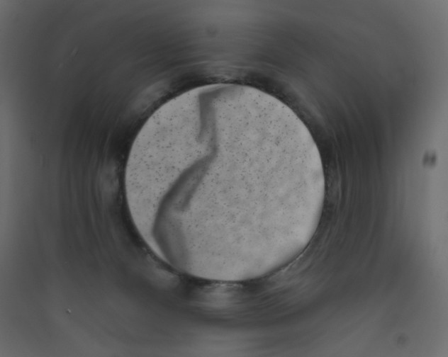 X0000089440128200707131914