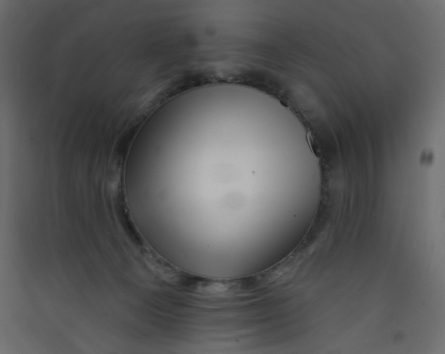 X0000089440129200707131914