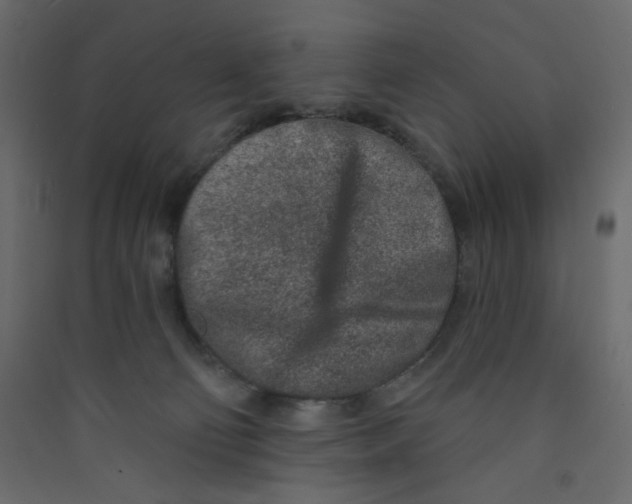 X0000089440130200707131914