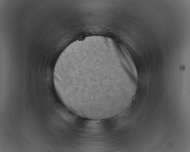 X0000089440132200707131914
