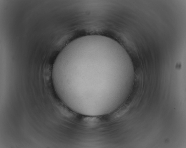 X0000089440133200707131914
