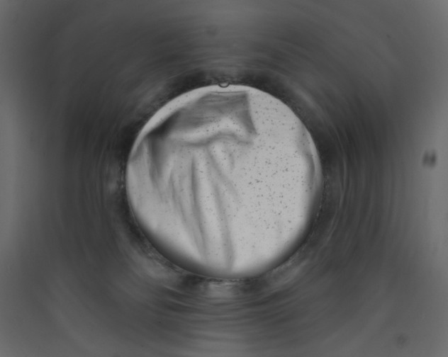 X0000089440134200707131914