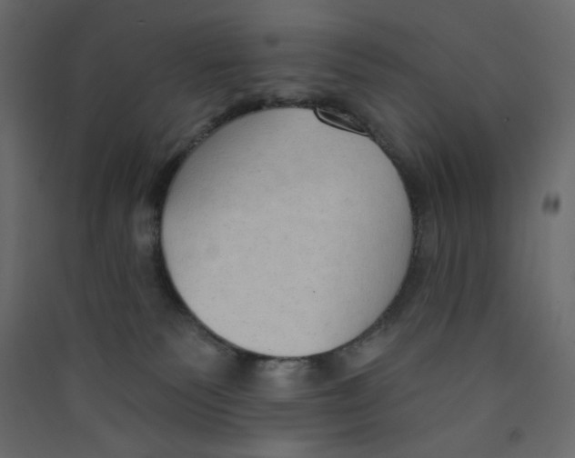 X0000089440135200707131914