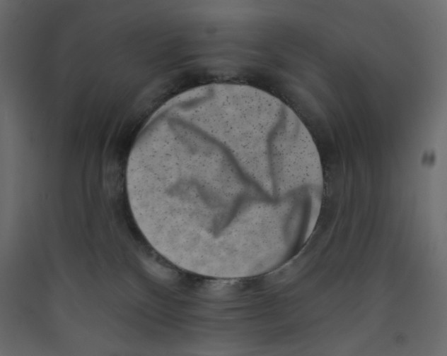 X0000089440136200707131914