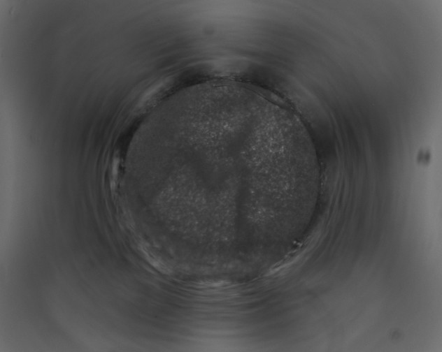 X0000089440137200707131914