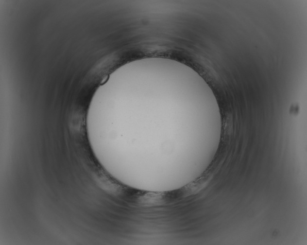 X0000089440138200707131914