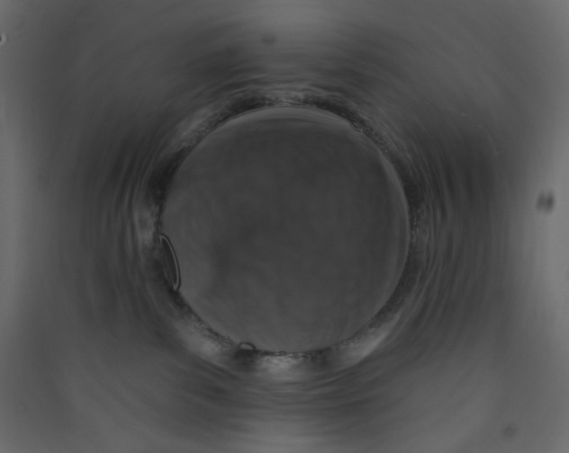 X0000089440139200707131914