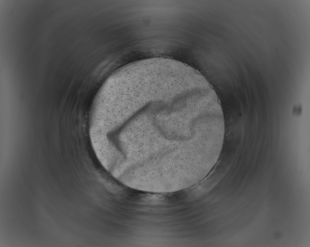 X0000089440140200707131914