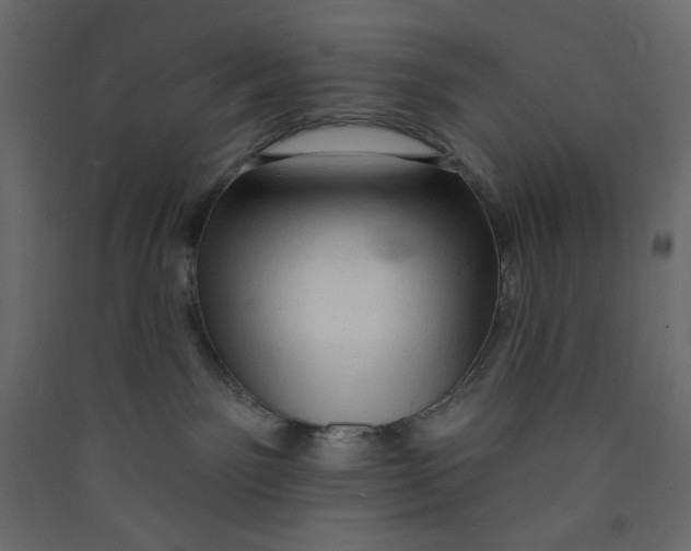 X0000089440141200707131914