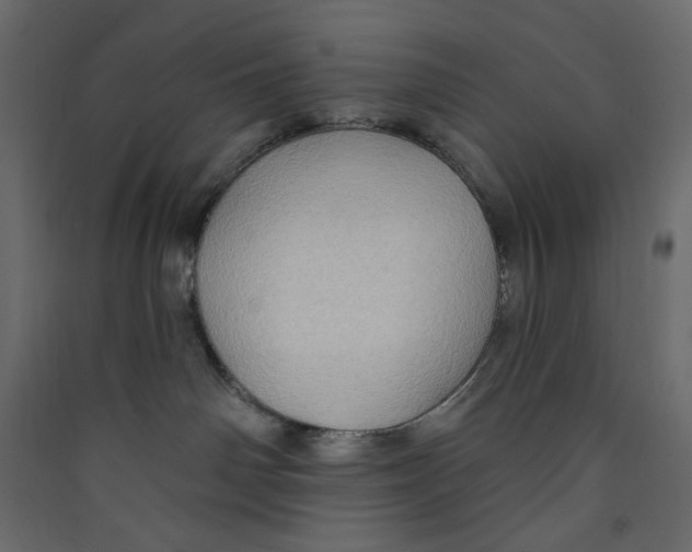 X0000089440142200707131914