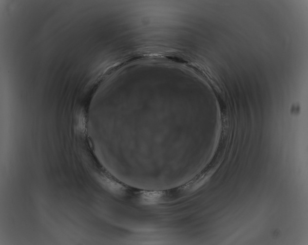 X0000089440143200707131914