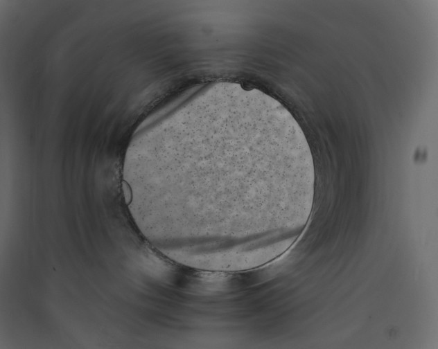X0000089440144200707131914
