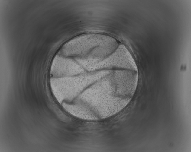 X0000089440145200707131913