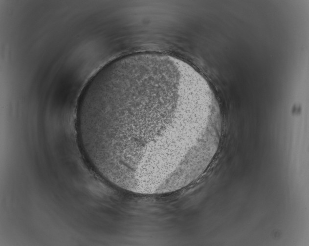 X0000089440146200707131913