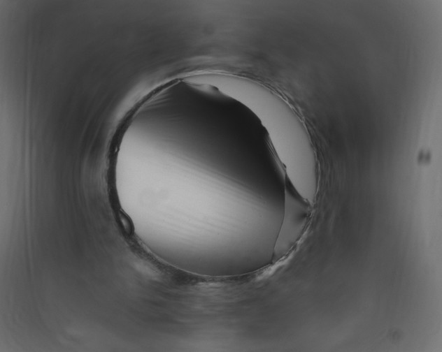 X0000089440150200707131913
