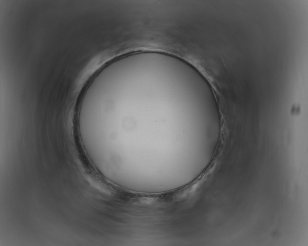 X0000089440151200707131913