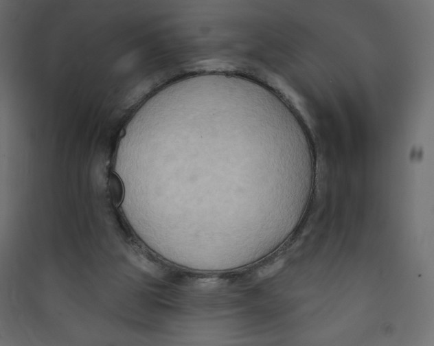 X0000089440153200707131913