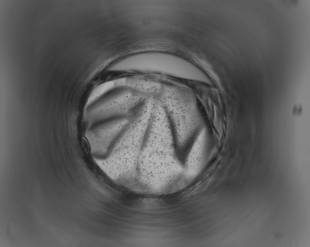 X0000089440154200707131913